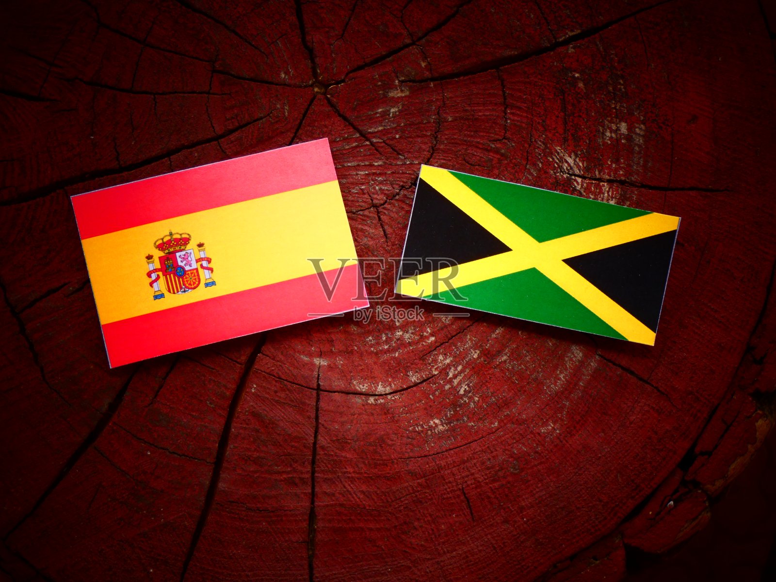 孤立的树桩上挂着西班牙国旗和牙买加国旗照片摄影图片