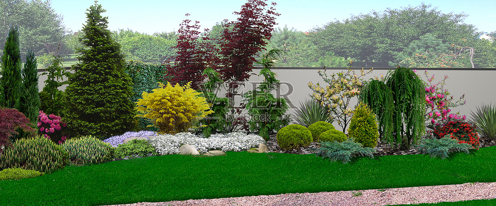 统一的花卉花园外观，3d渲染照片摄影图片