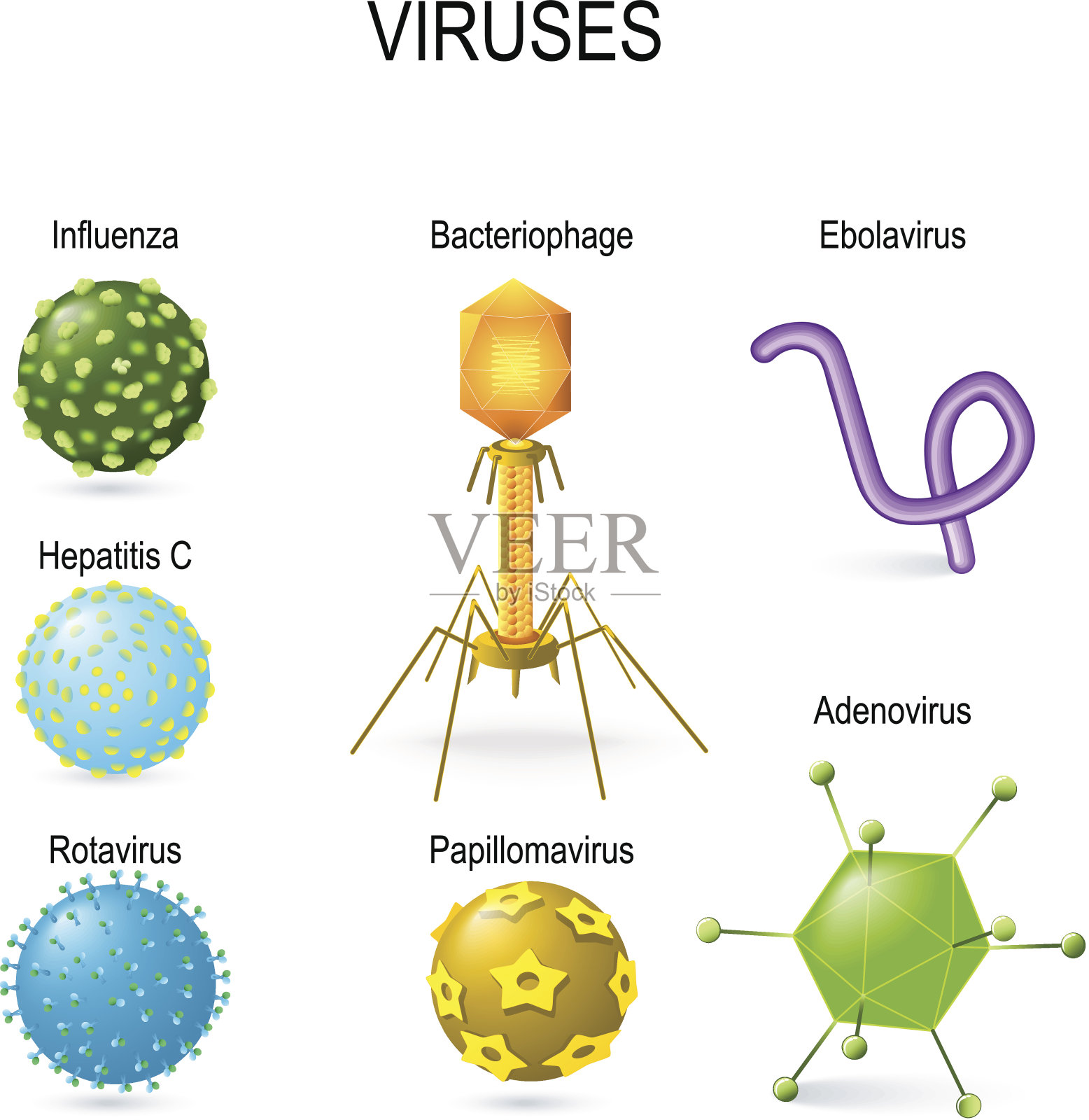 不同形状的病毒插画图片素材