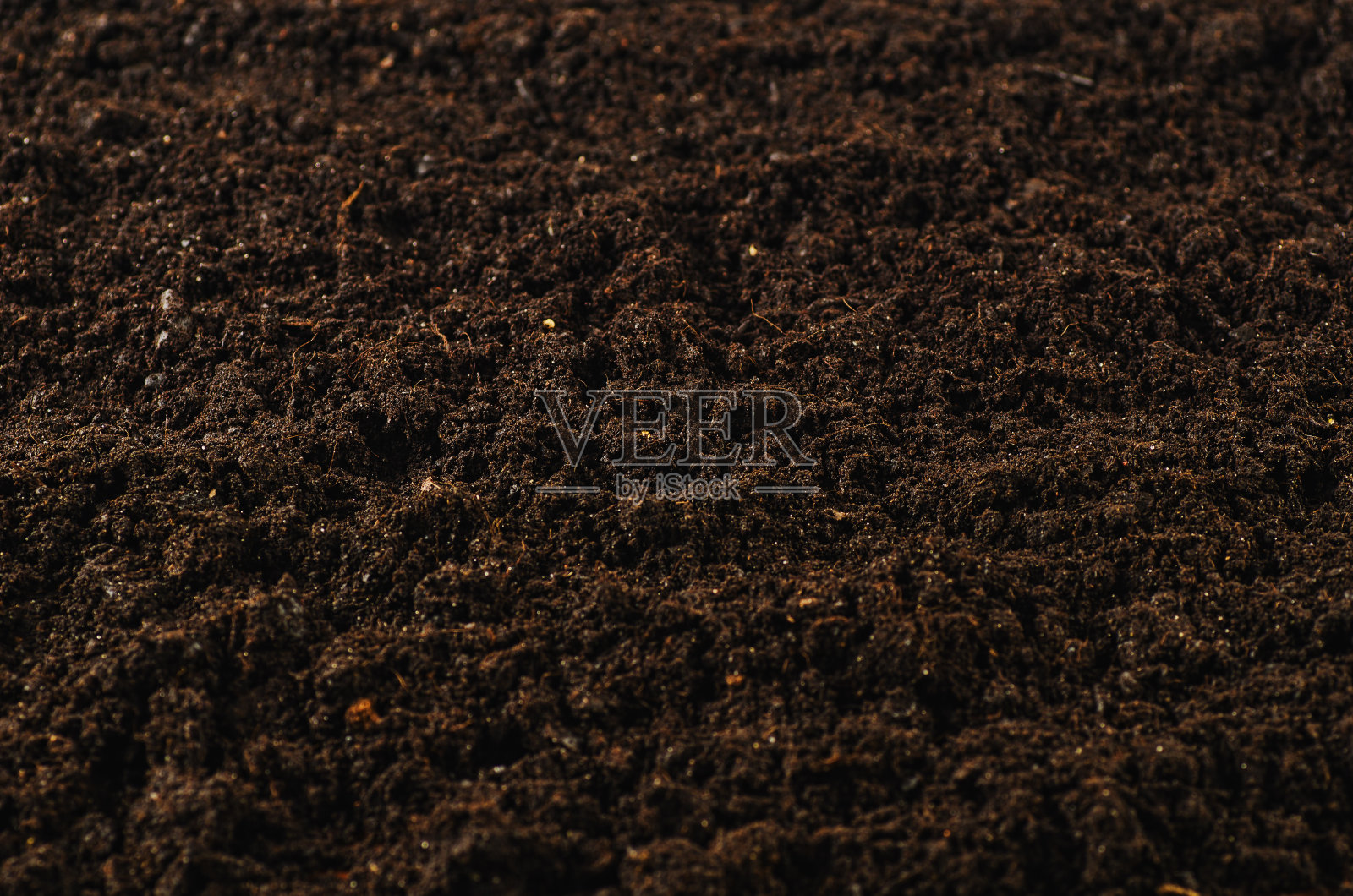 什么样的土壤才是真的肥沃？这种成分必不可少__凤凰网