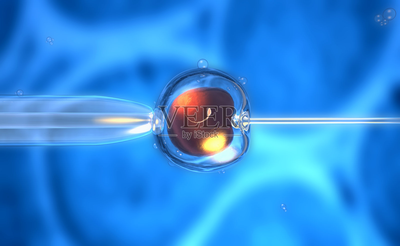 人工授精或卵子受精的3D渲染照片摄影图片
