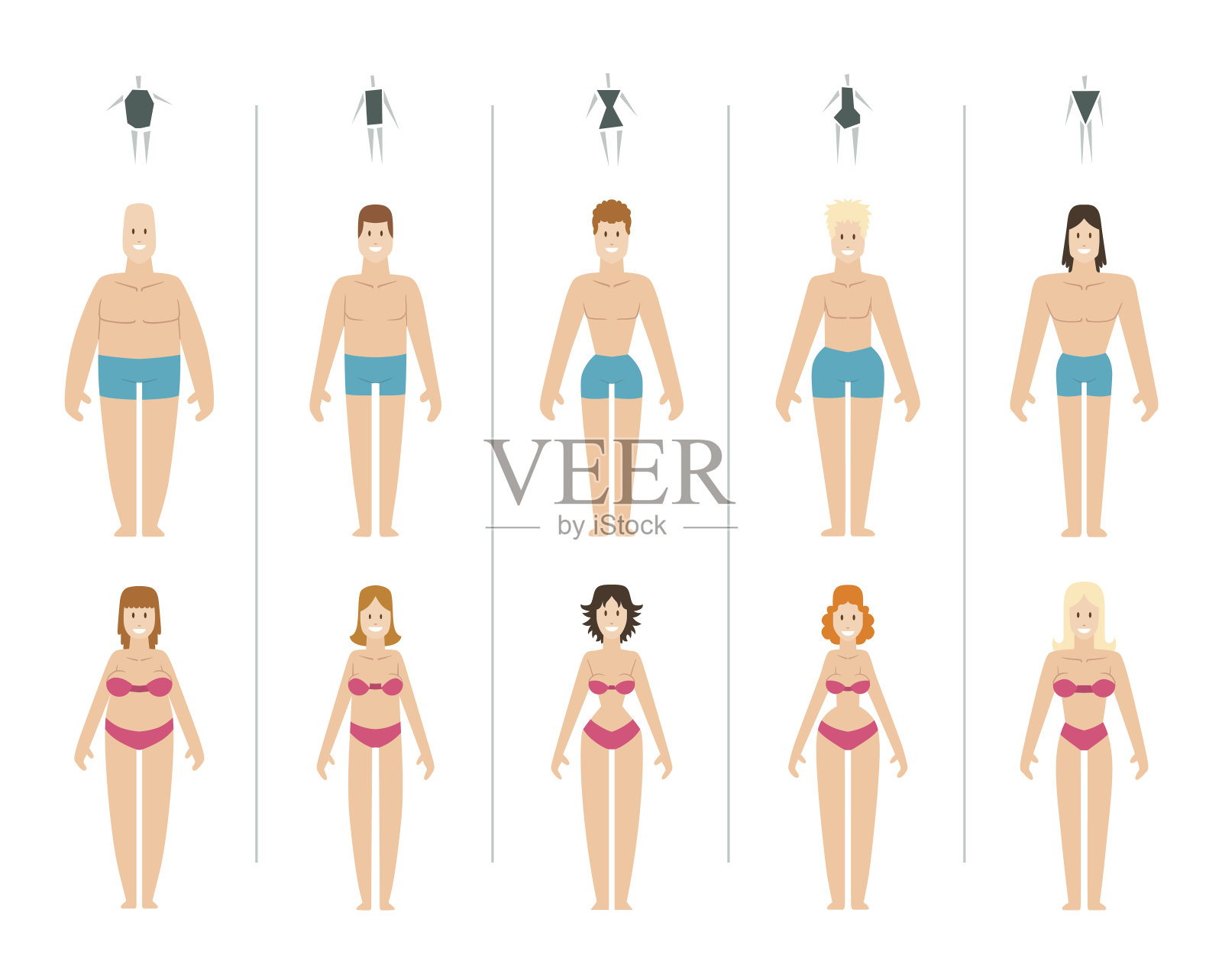 女性身体类型矢量插图。插画图片素材