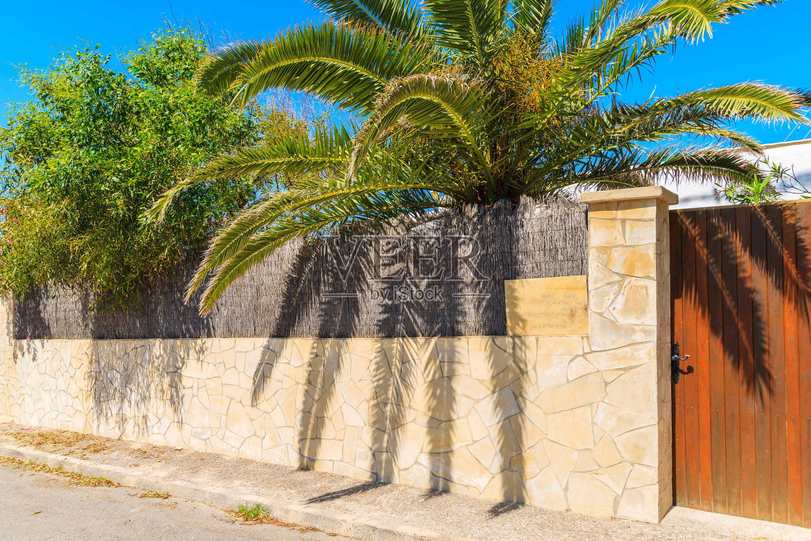 西班牙，伊比沙岛，圣安东尼奥镇，美丽的房子，花园中有棕榈树照片摄影图片