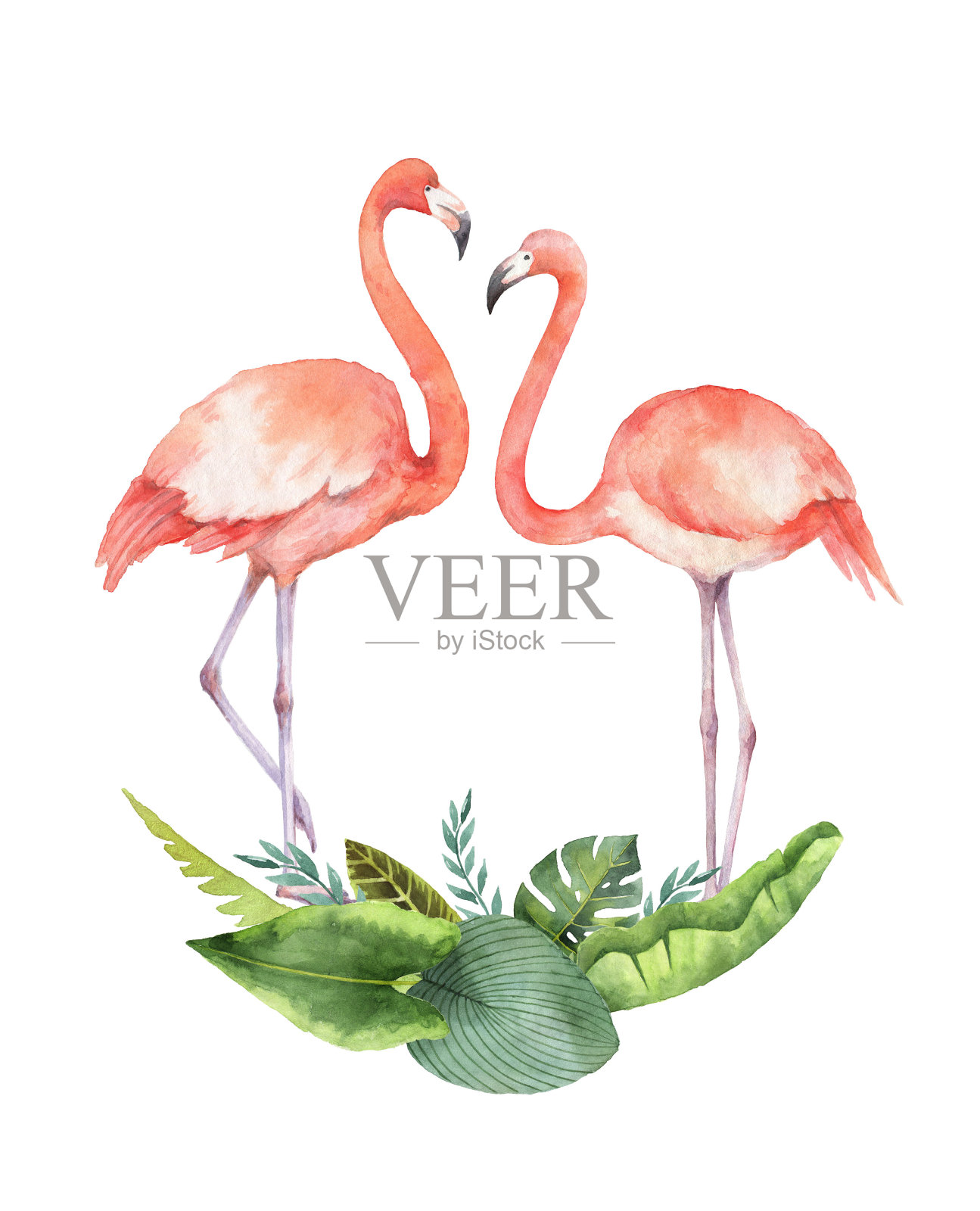 水彩画的热带树叶和粉红色火烈鸟孤立在白色的背景。插画图片素材