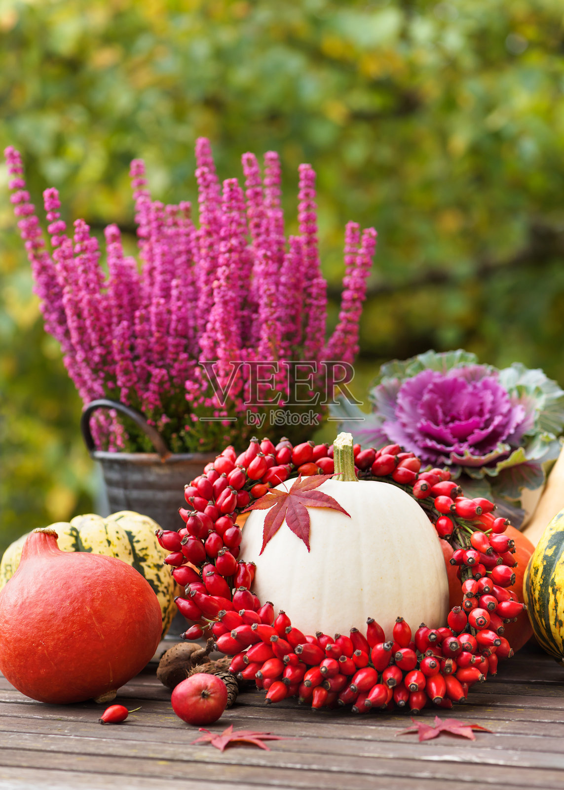 美丽的自然秋天装饰手工花环，南瓜，花和落叶。照片摄影图片