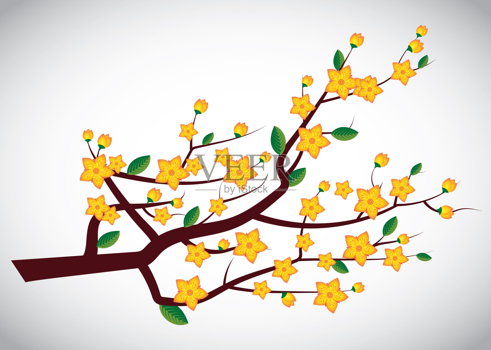 黄杏花(Ochna integerrima)在树枝上的载体插画图片素材