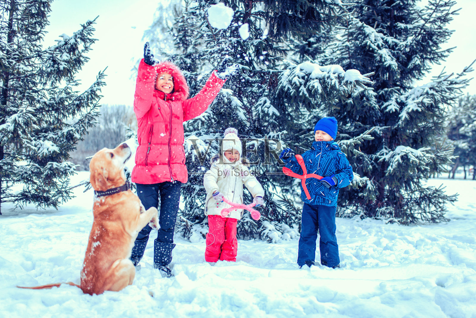 快乐的家庭和狗在冬季公园照片摄影图片