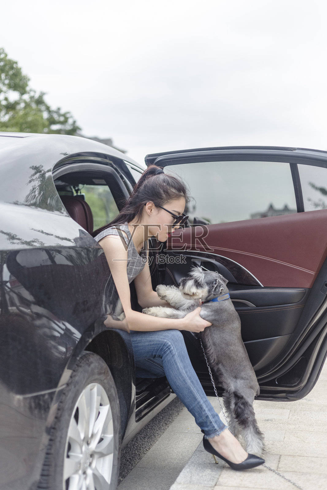 漂亮女人坐在车里和她的小狗玩照片摄影图片