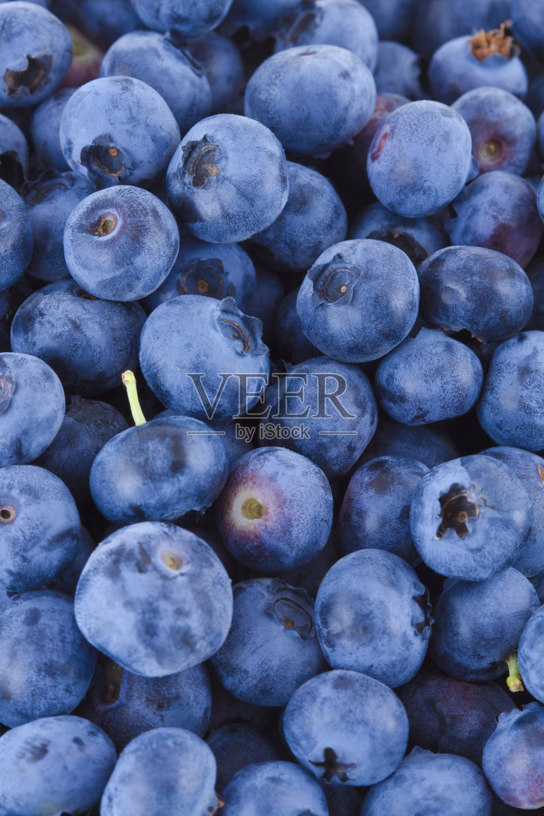 蓝莓的背景照片摄影图片