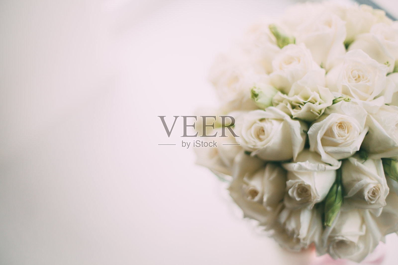 由白玫瑰制成的新娘花束。照片摄影图片