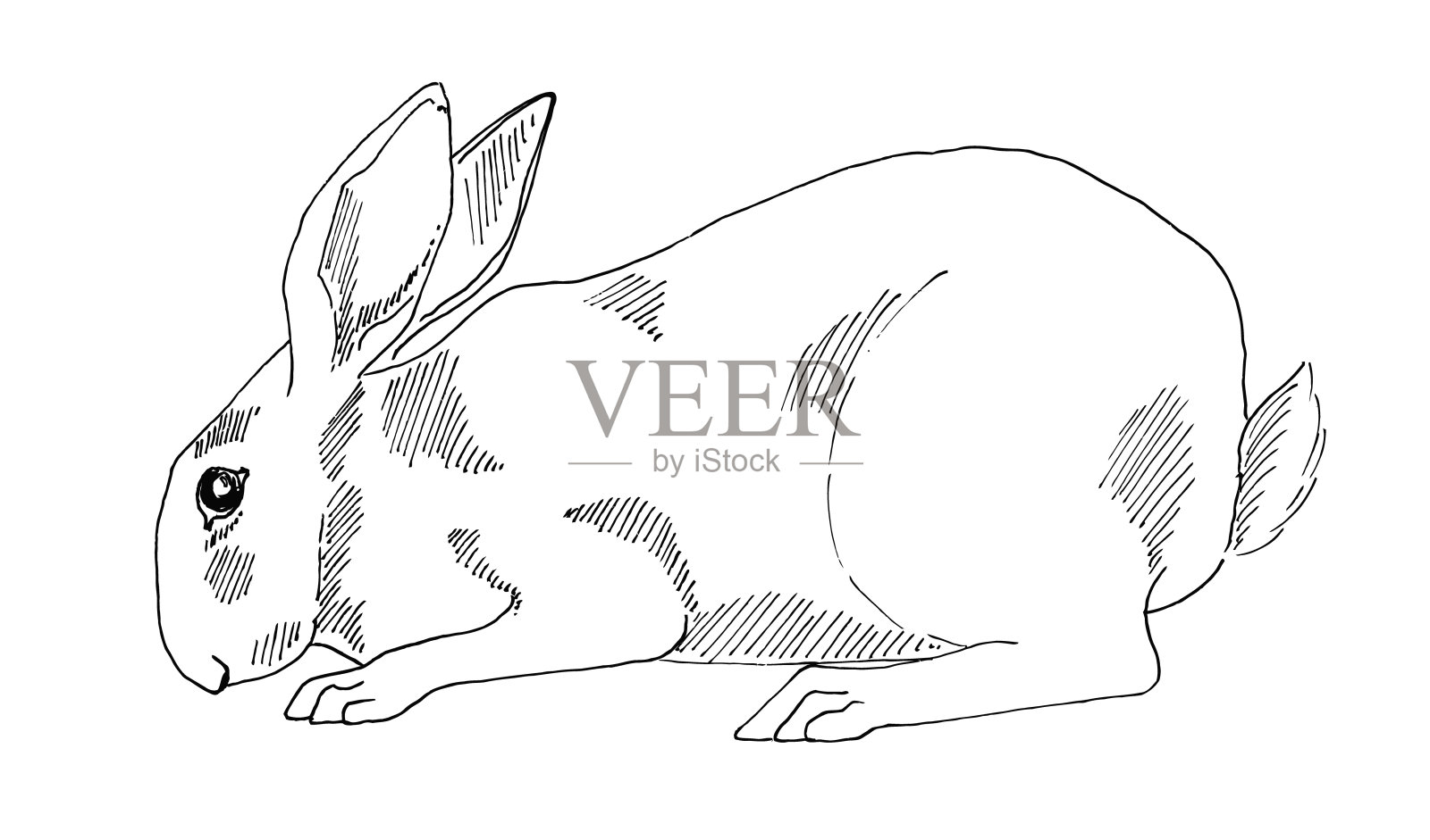 兔子。用黑色记号笔素描。向量设计元素图片