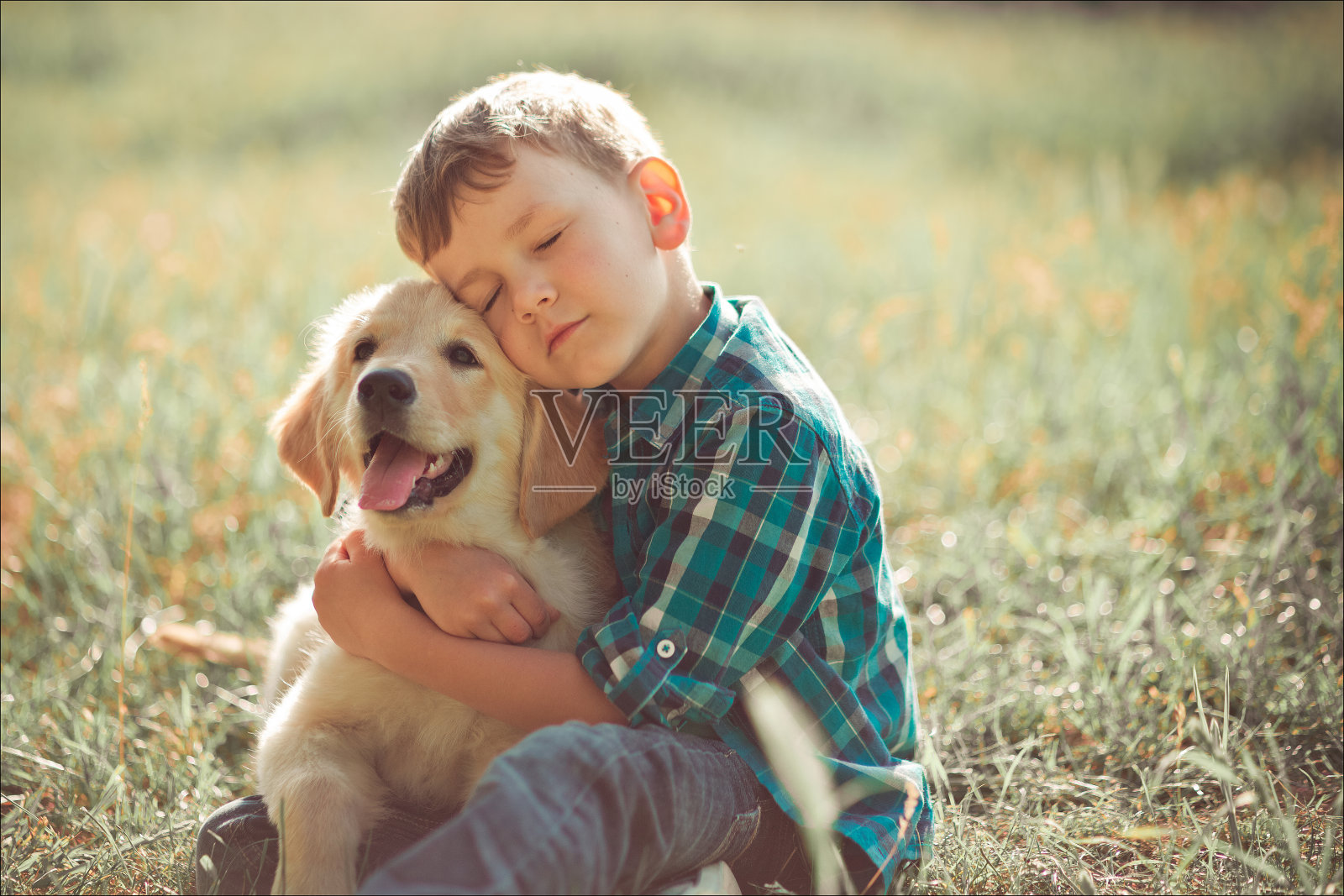 可爱英俊的男孩少年与令人惊叹的白粉色拉布拉多寻回小狗玩户外享受夏天晴天假期周末充满幸福。快乐微笑的孩子和最好的朋友照片摄影图片