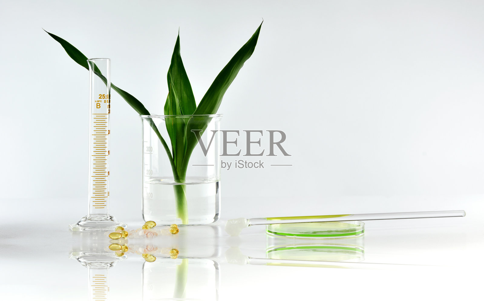 天然有机植物和科学玻璃器皿，替代草药，天然护肤美容产品，研发理念。照片摄影图片