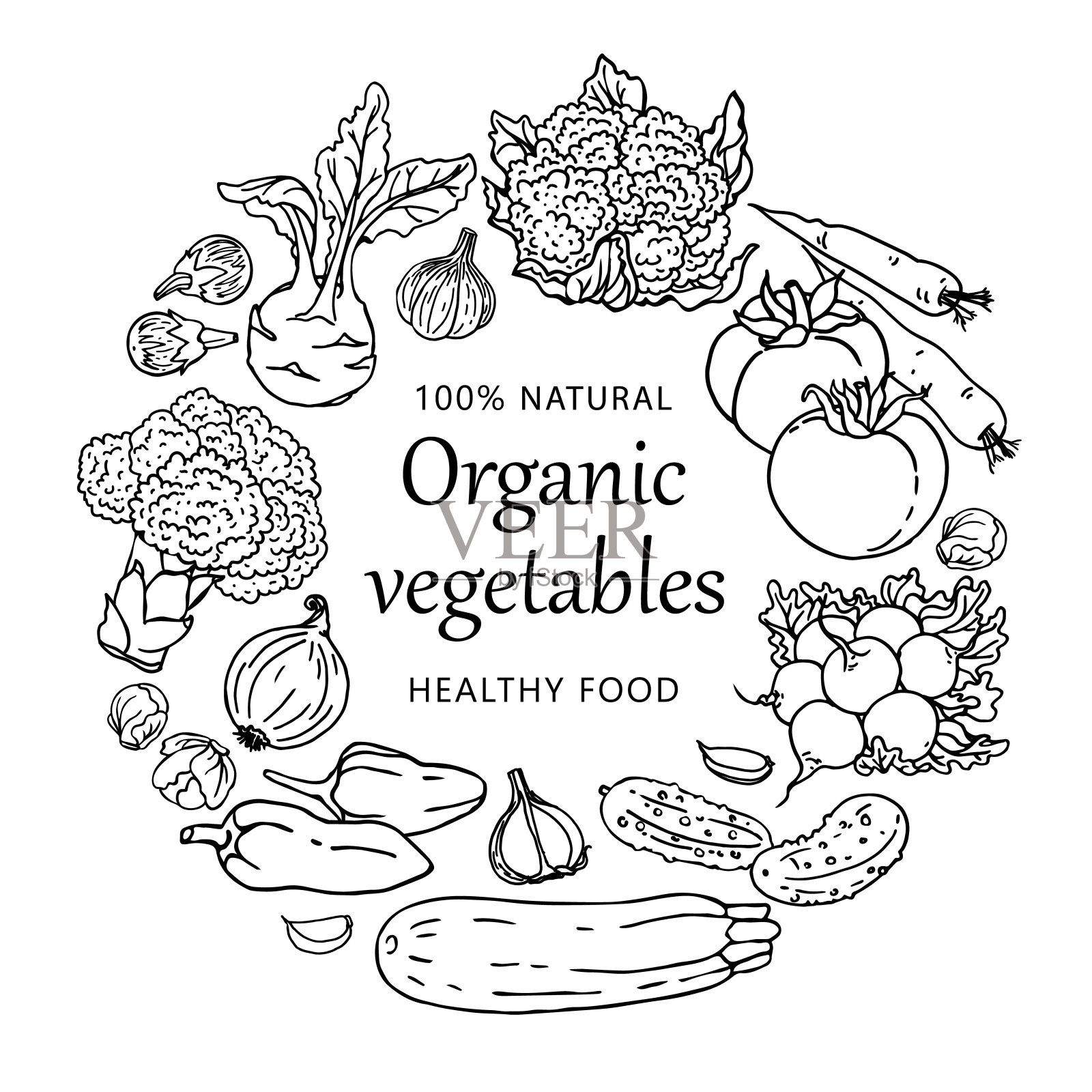有机蔬菜插图模板孤立在白色背景。健康食品的概念插画图片素材