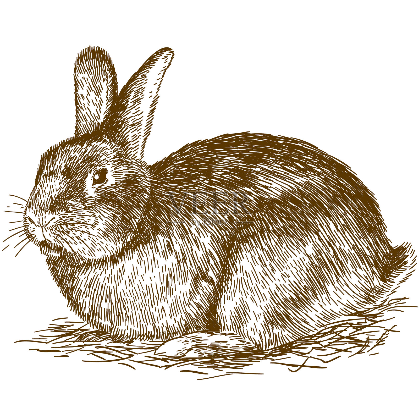 兔子版画插画设计元素图片