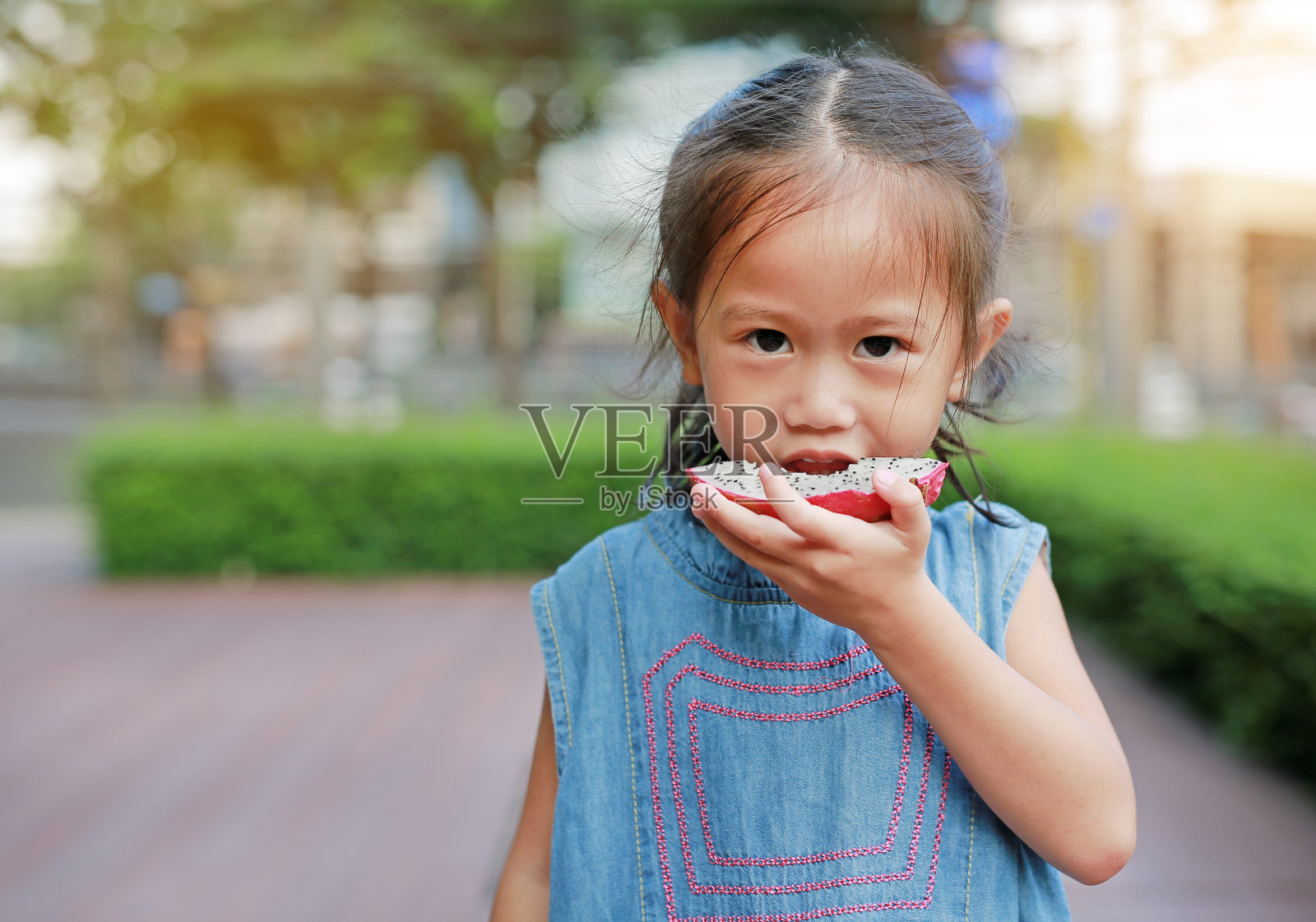 小女孩在公园里吃火龙果片。照片摄影图片