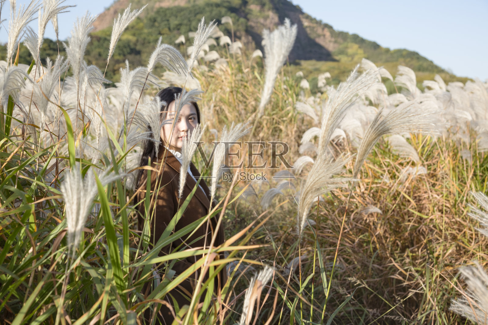 美丽女子的肖像，站在芦苇丛中的秋天照片摄影图片