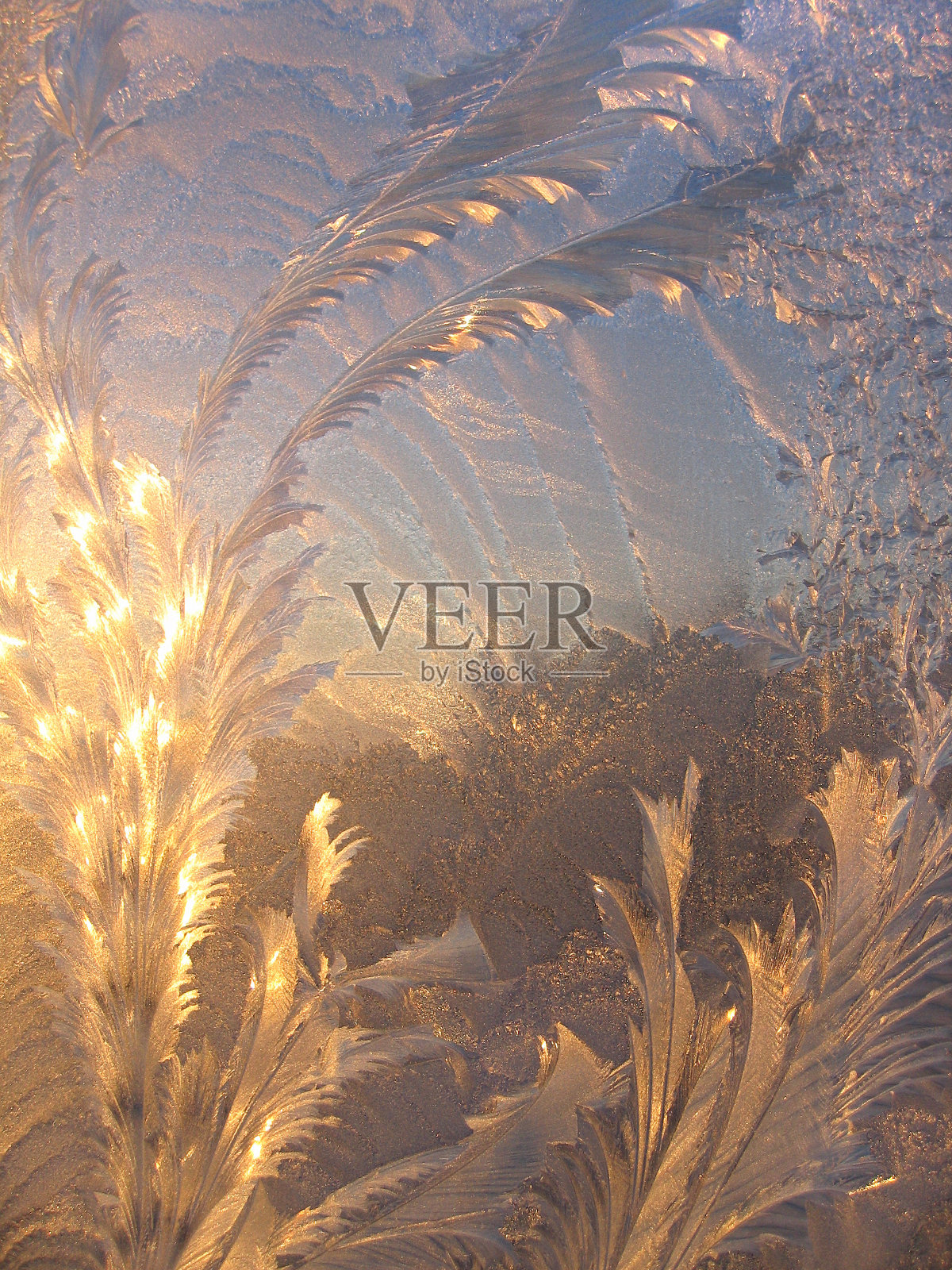 冰的图案和阳光在早晨冬天的玻璃照片摄影图片