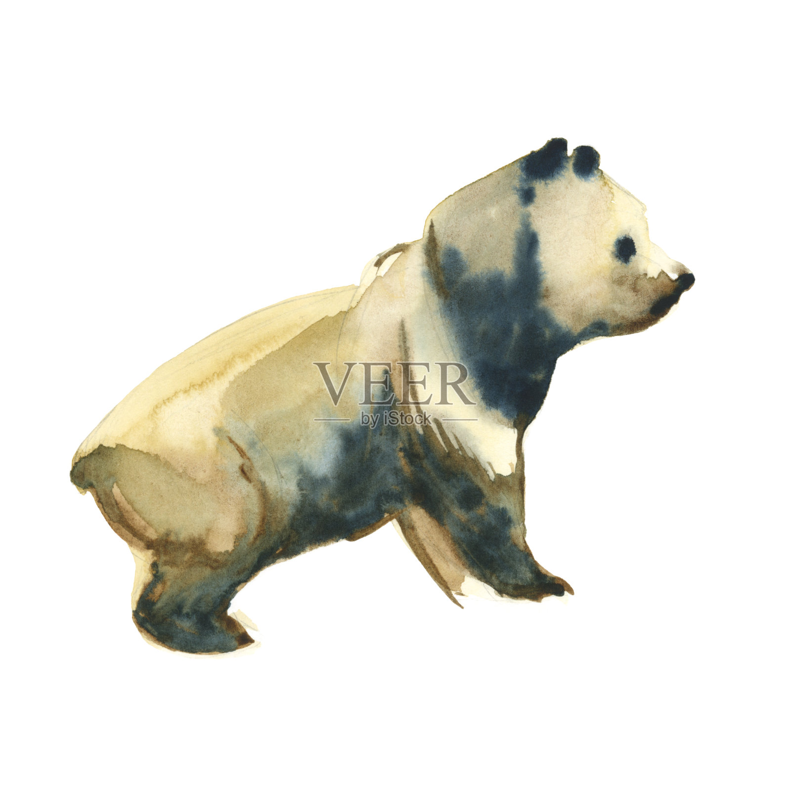 水彩插图孤立的白色背景。棕色的熊宝宝熊猫站着设计元素图片