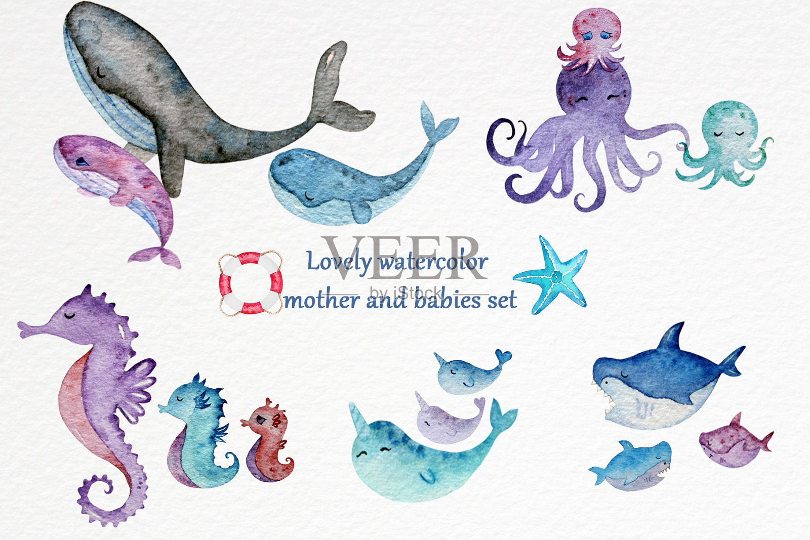 水彩的海洋生物插画图片素材