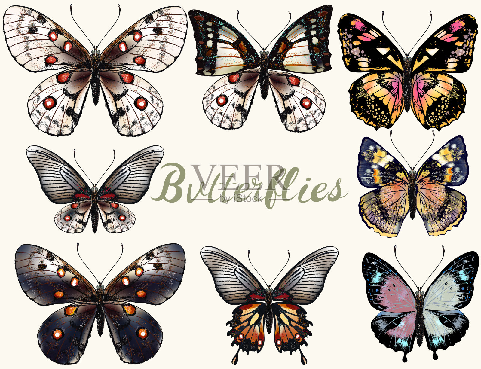 收集的矢量现实彩色蝴蝶的设计设计元素图片