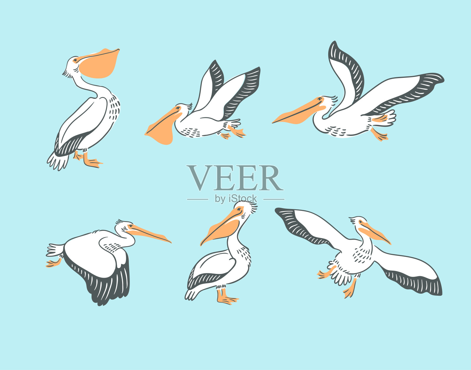 手绘可爱的卡通鹈鹕在不同的姿势。矢量插图与鸟类。插画图片素材