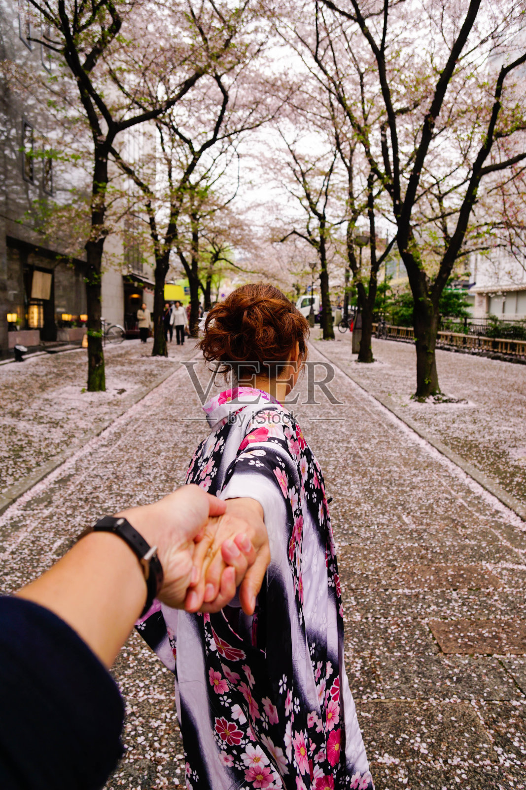 日本妇女穿着和服牵着她的情人的手，走过樱花街，园，京都，第一人称视图照片摄影图片