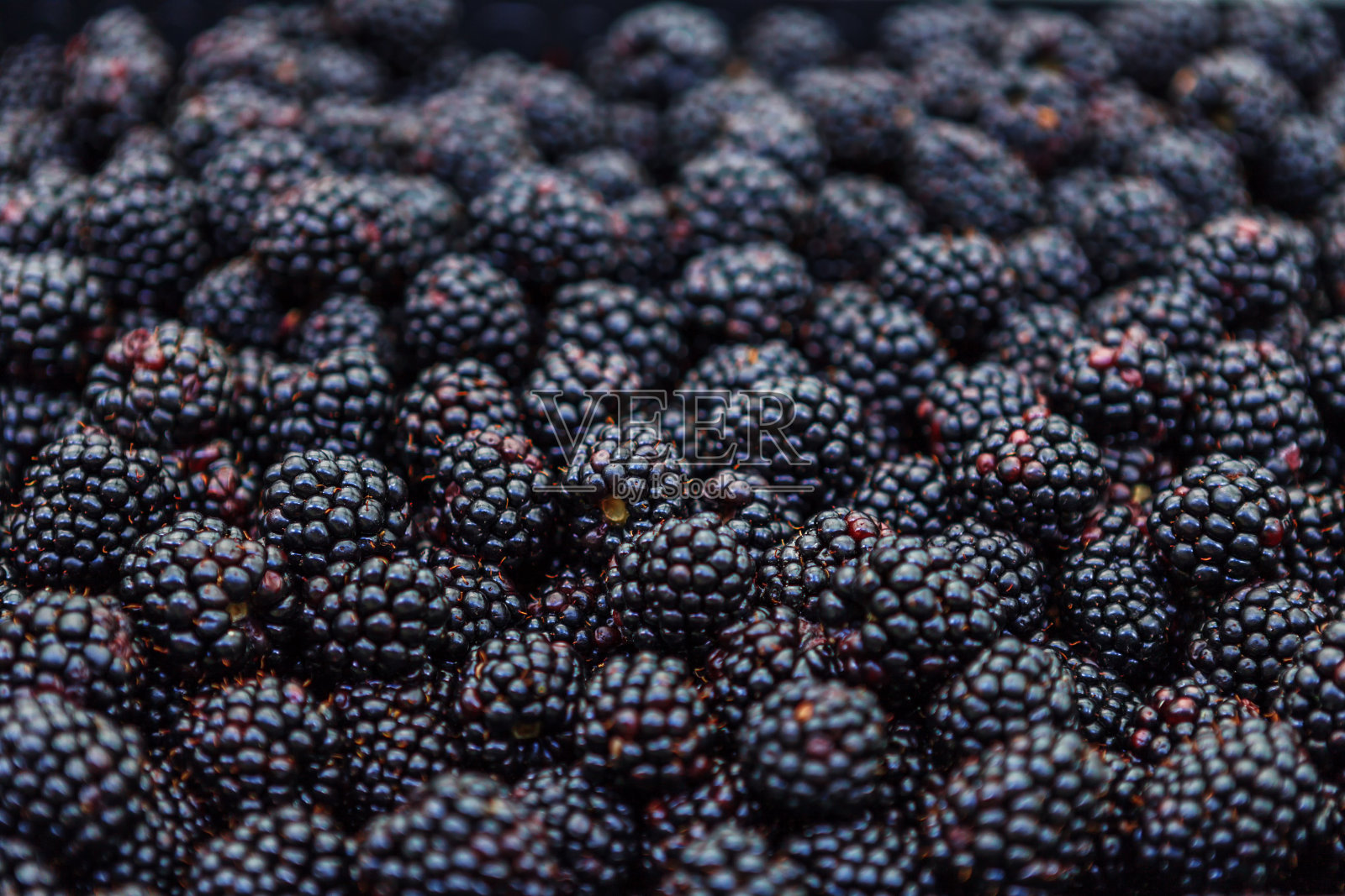 市场上的新鲜黑莓，特写照片摄影图片