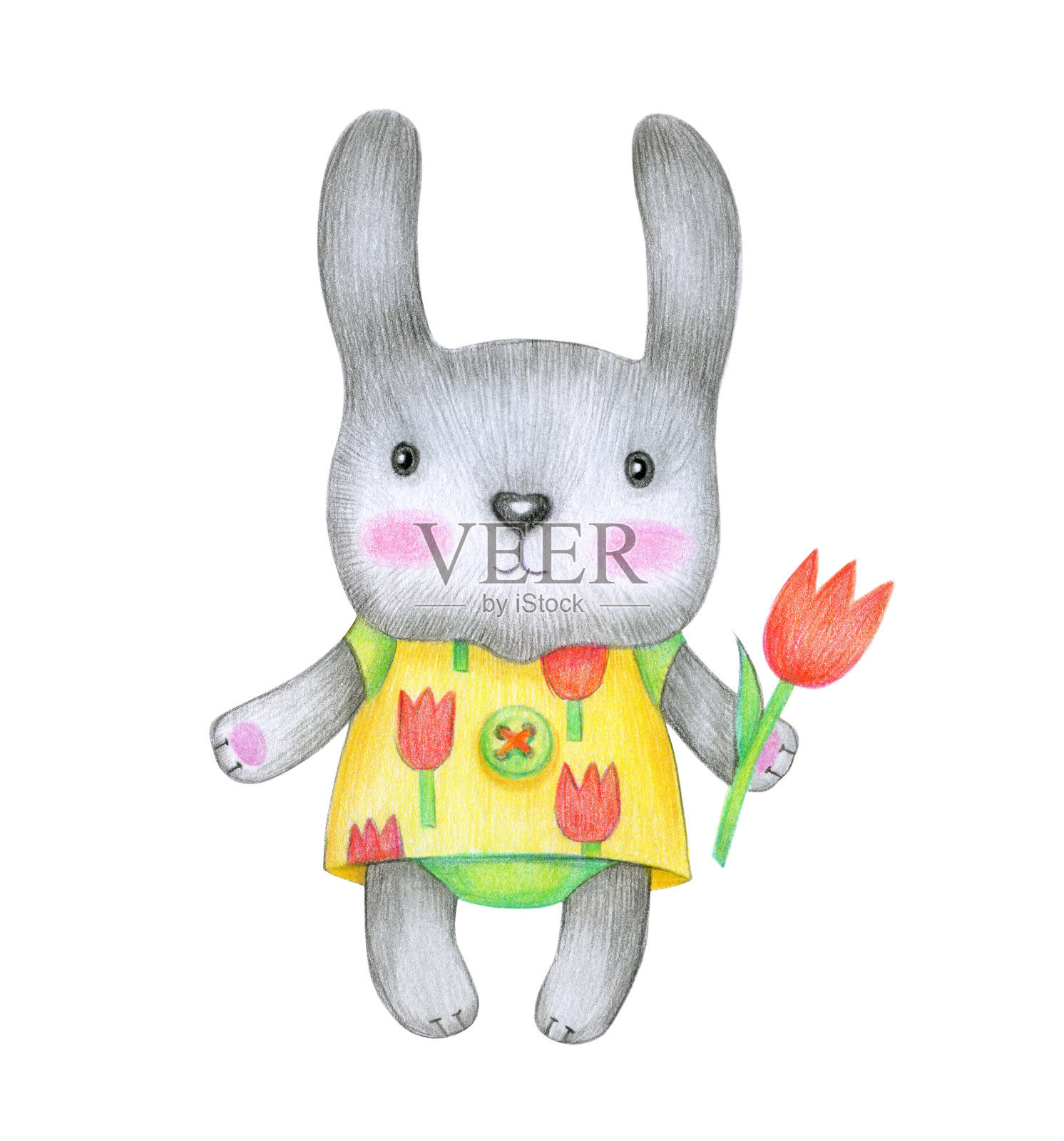 可爱的小兔子。插画图片素材
