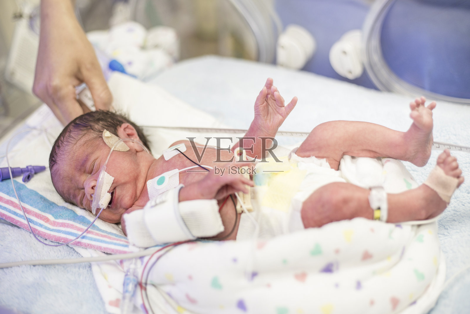 新生儿早产儿重症监护室照片摄影图片