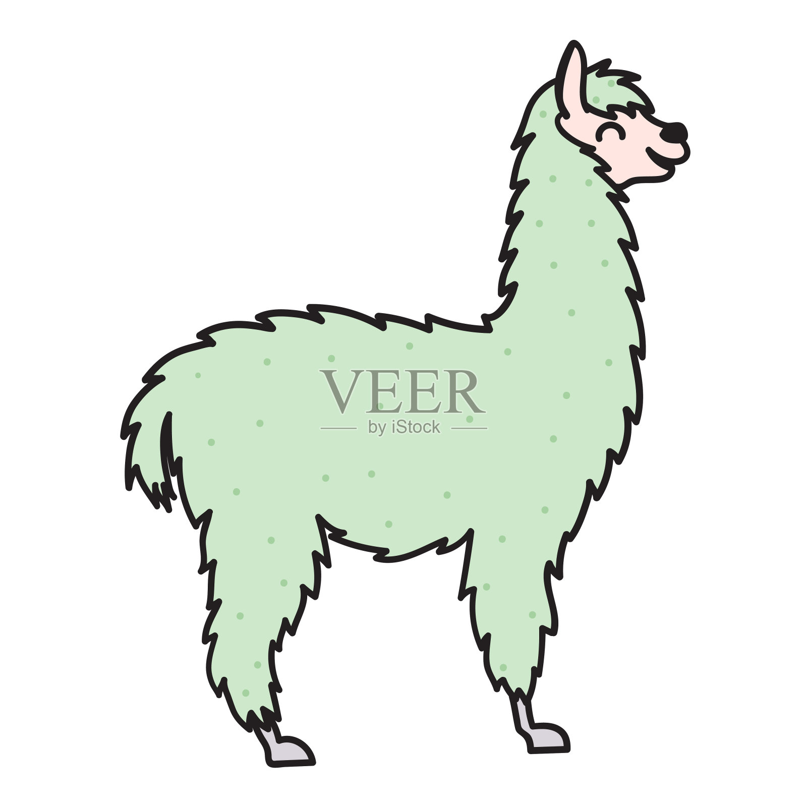 手绘秘鲁动物，羊驼，小羊驼。插画图片素材