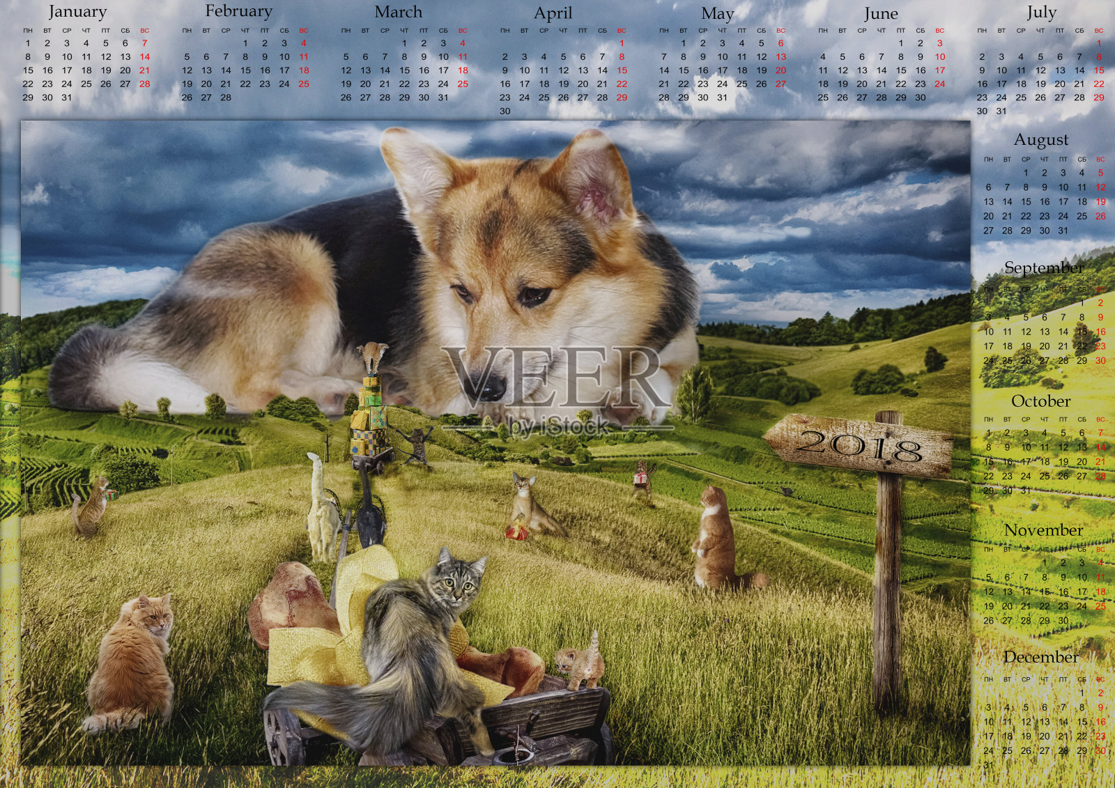 2018年日历。纸张大小A3。大狗。照片摄影图片