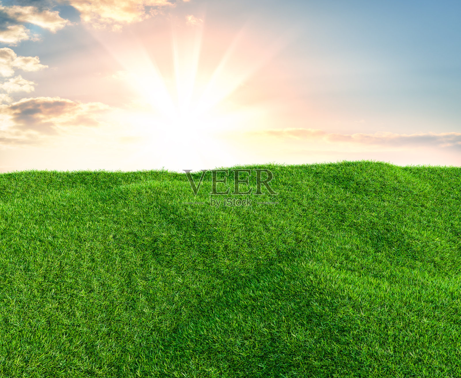 天空和草的背景，新鲜的绿色田野插画图片素材