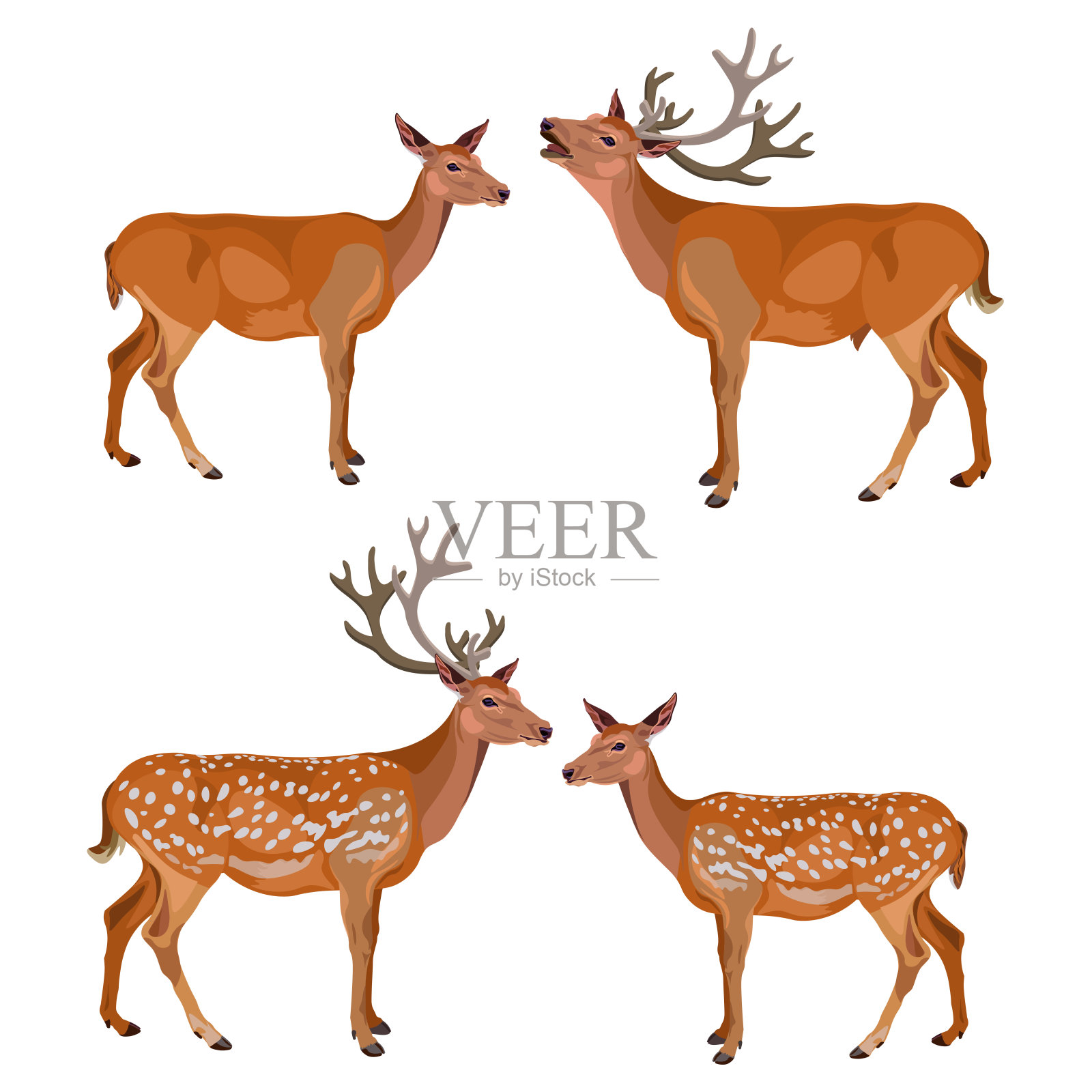 鹿的集合插画图片素材