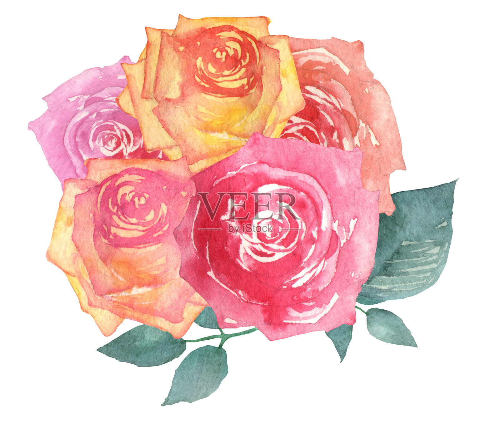 玫瑰插画图片素材