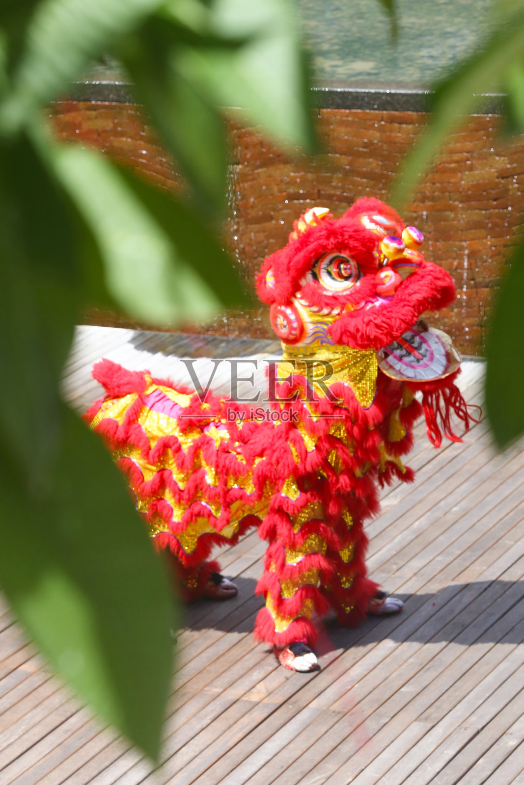 中国传统舞狮照片摄影图片