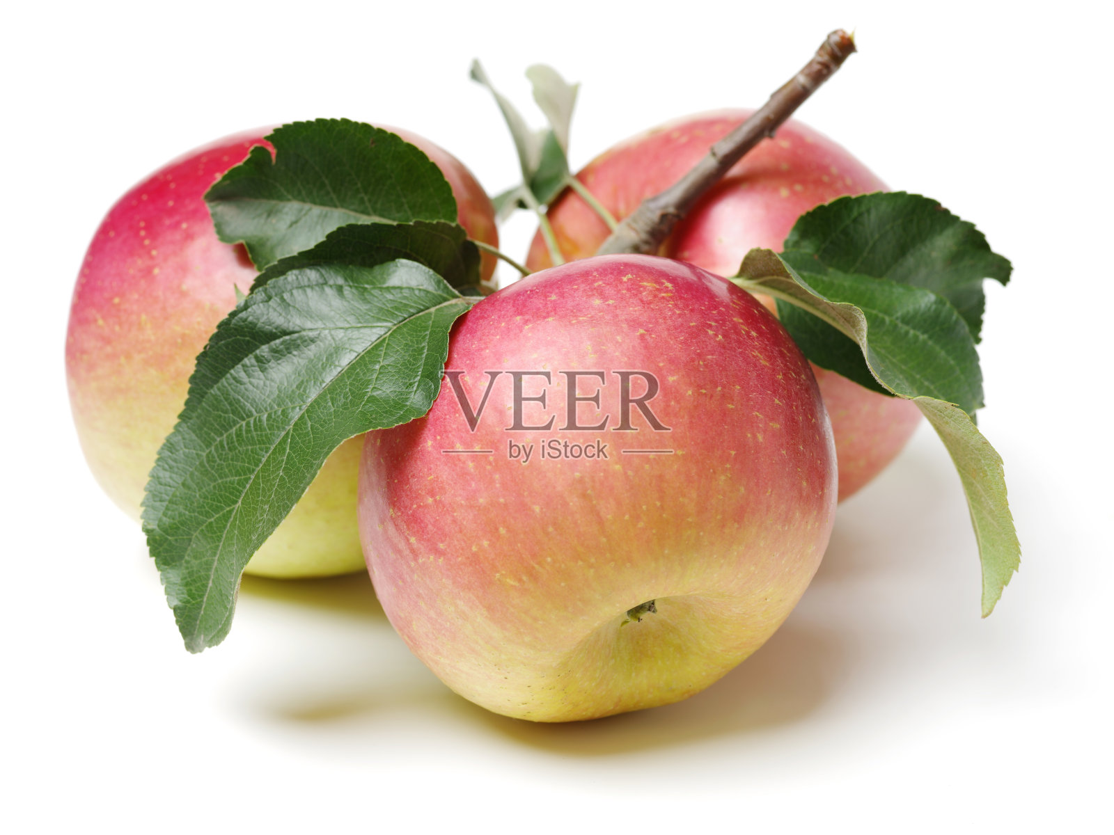 新鲜的苹果和叶子孤立在白色背景照片摄影图片
