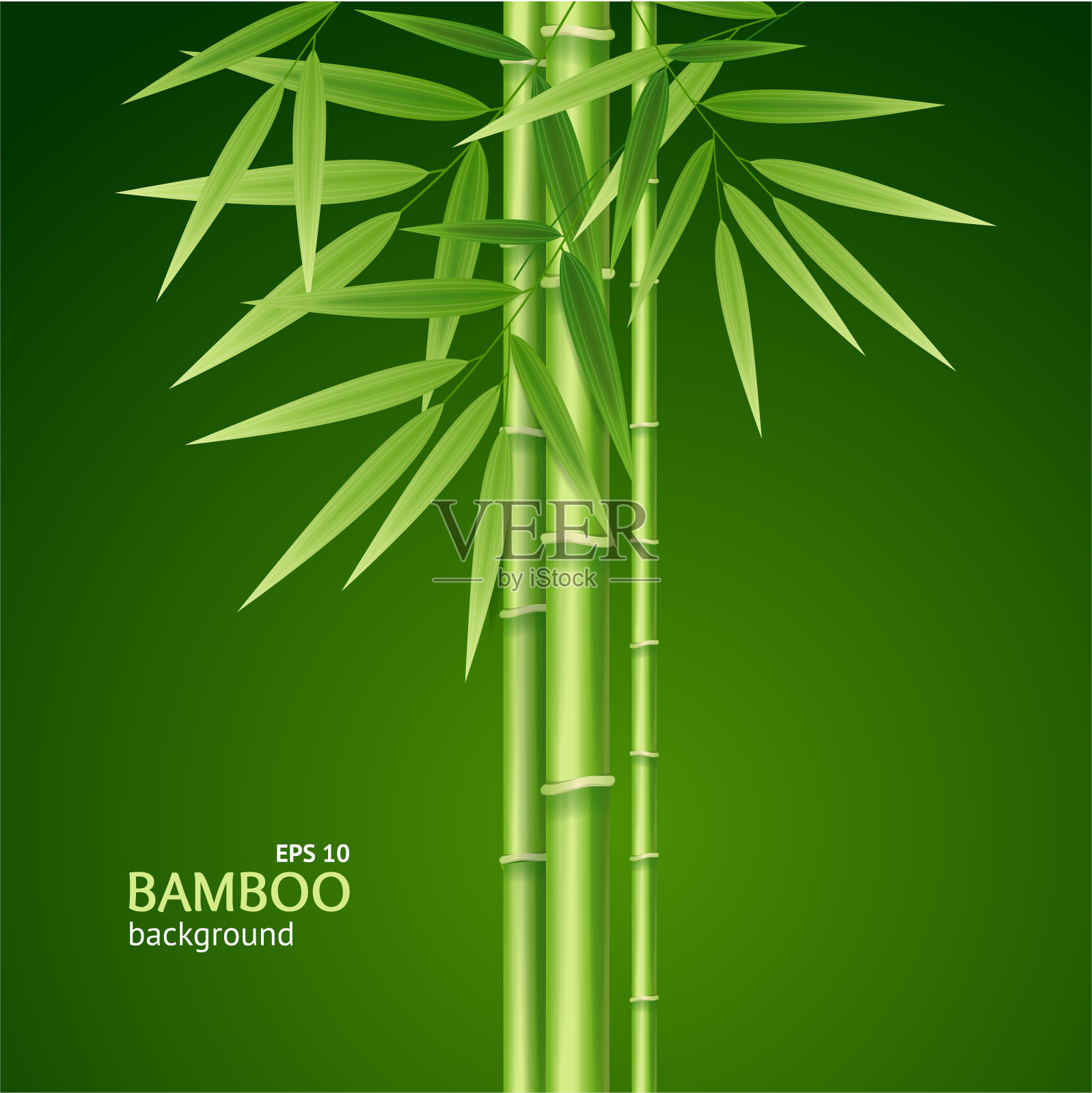逼真的3d详细的竹笋背景卡。向量设计元素图片