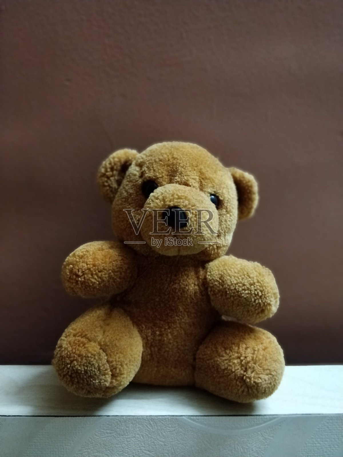 毛茸茸的泰迪熊照片摄影图片