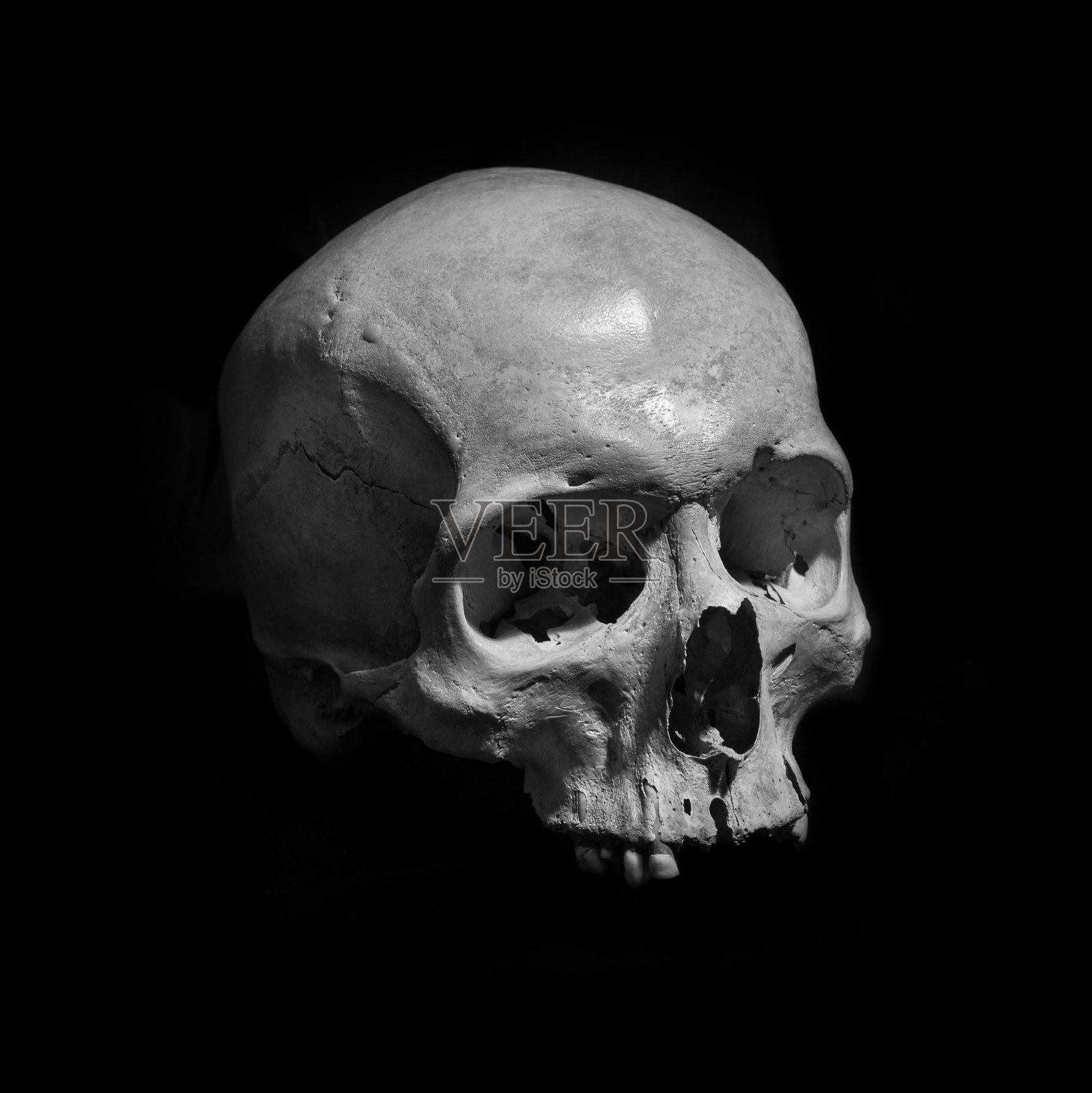 黑色背景上的人类头骨照片摄影图片