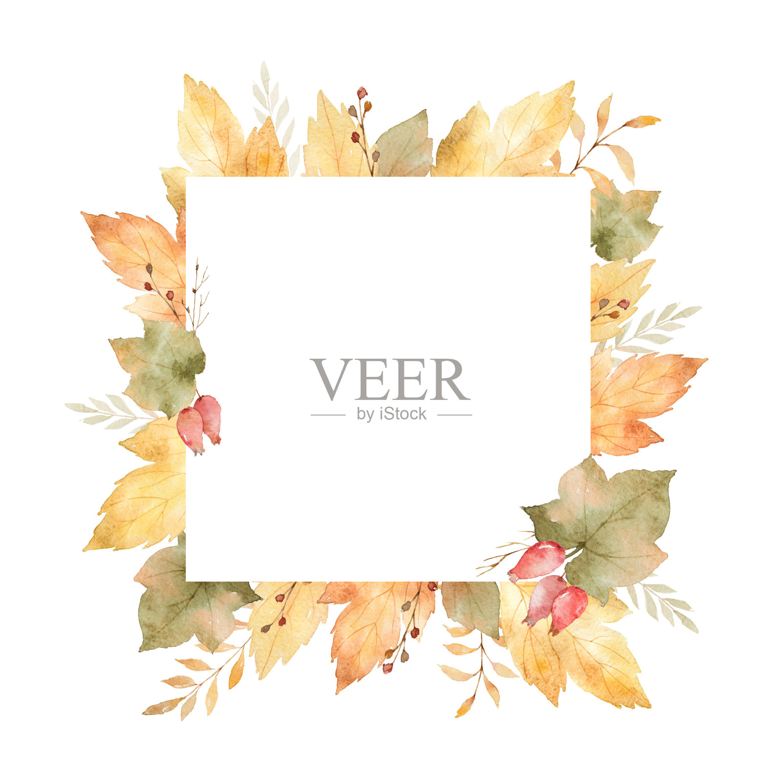 水彩方形框架的树叶和树枝孤立在白色的背景。插画图片素材