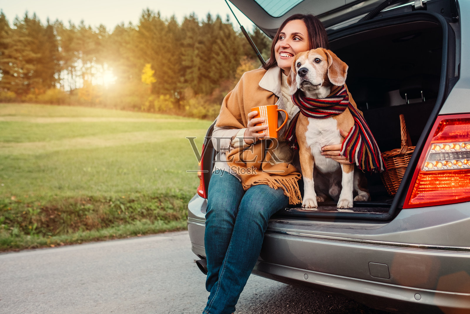 秋天的路上，一个女人和一只披着披肩的狗一起坐在汽车后备箱里照片摄影图片