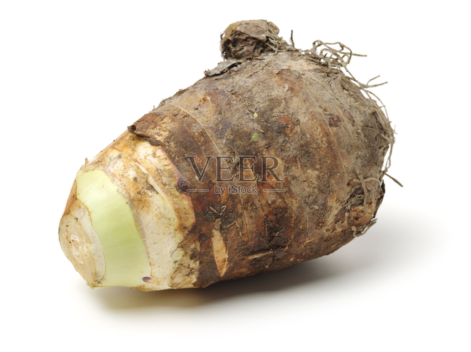 芋头根，也被称为'dasheen '，'日本马铃薯'，' cocoyam照片摄影图片