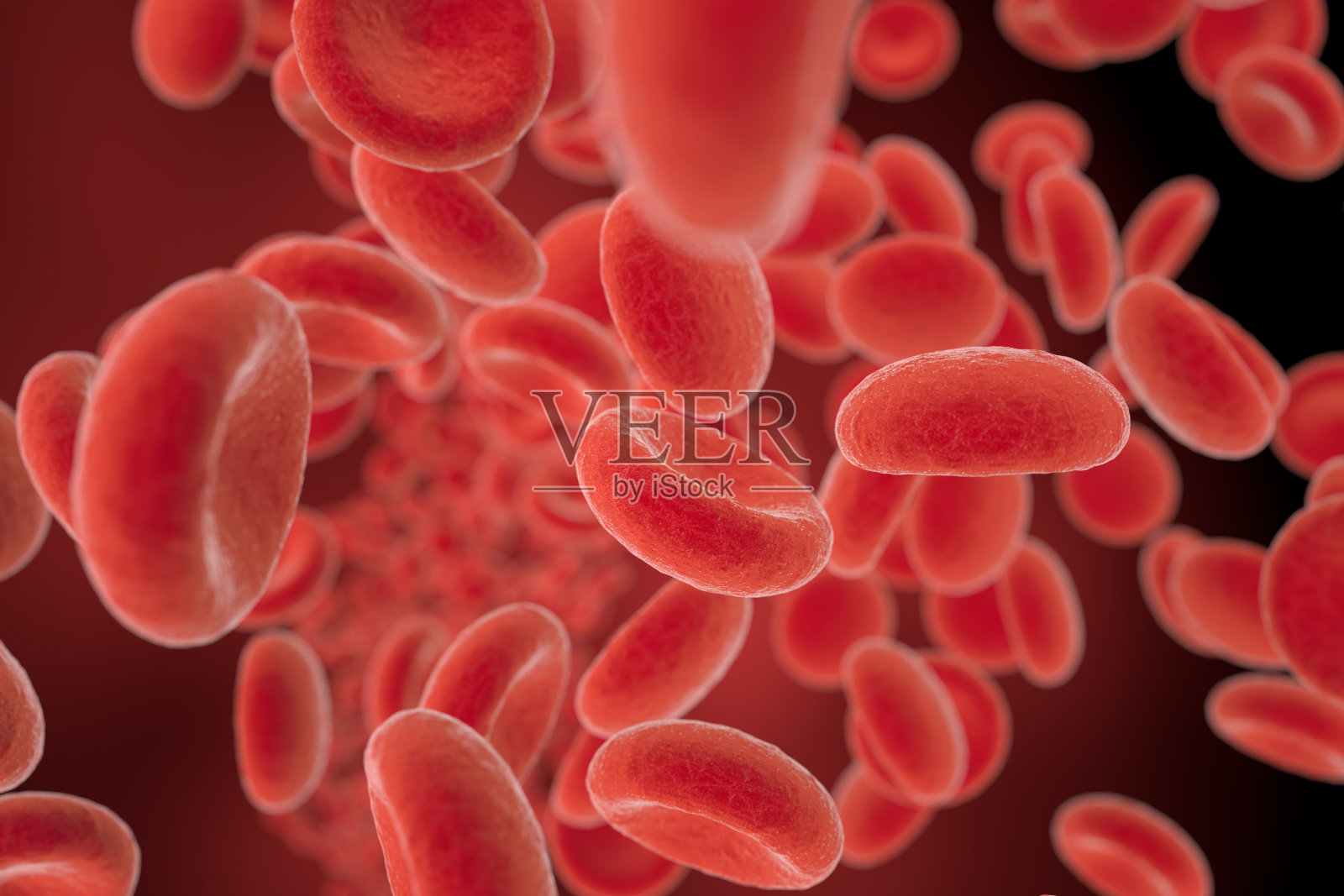 红细胞在血管中流动照片摄影图片