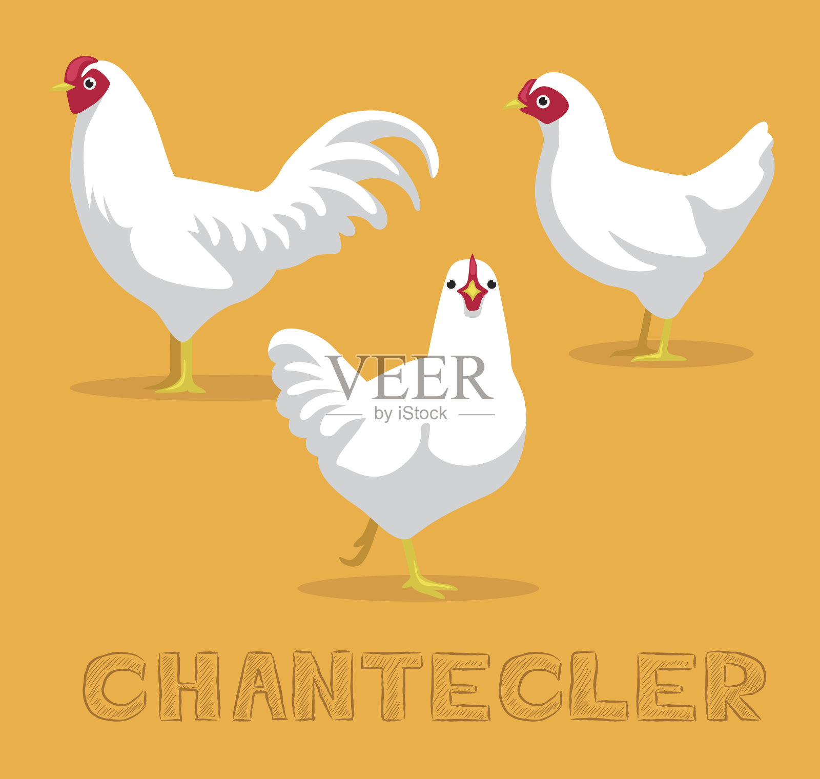 鸡Chantecler卡通矢量插图插画图片素材
