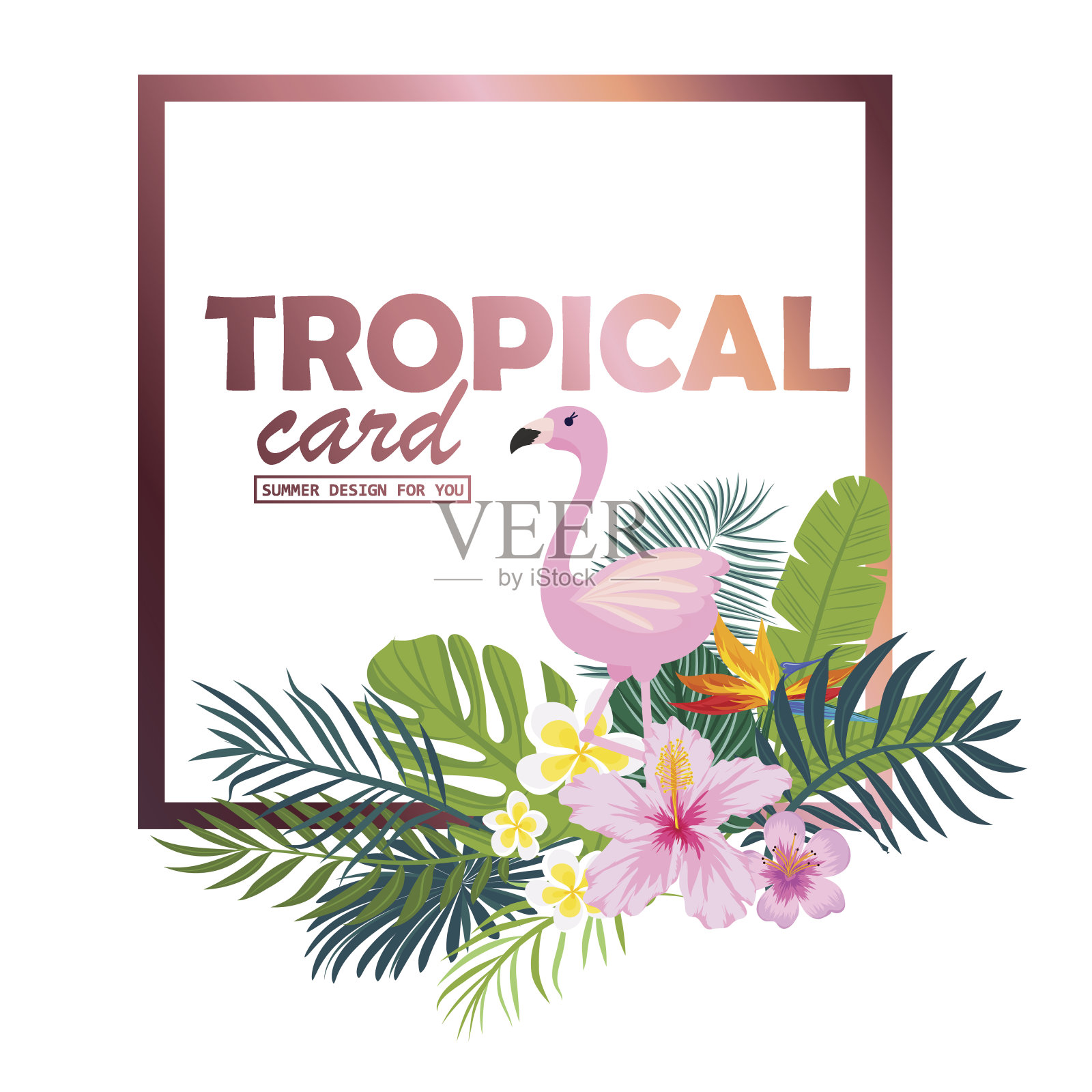 一张印有棕榈叶、火烈鸟和奇异花朵的热带卡片。向量插画图片素材