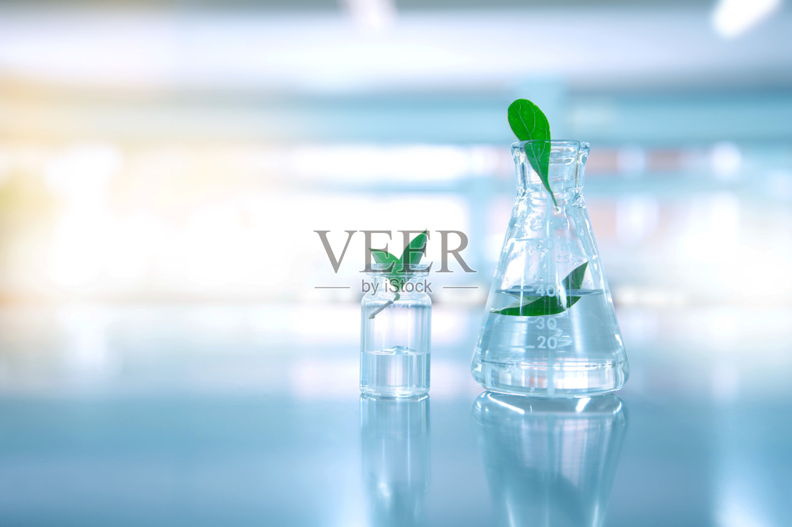 玻璃烧瓶和小瓶的纯净水，带有生物技术科学实验室背景的天然绿叶照片摄影图片