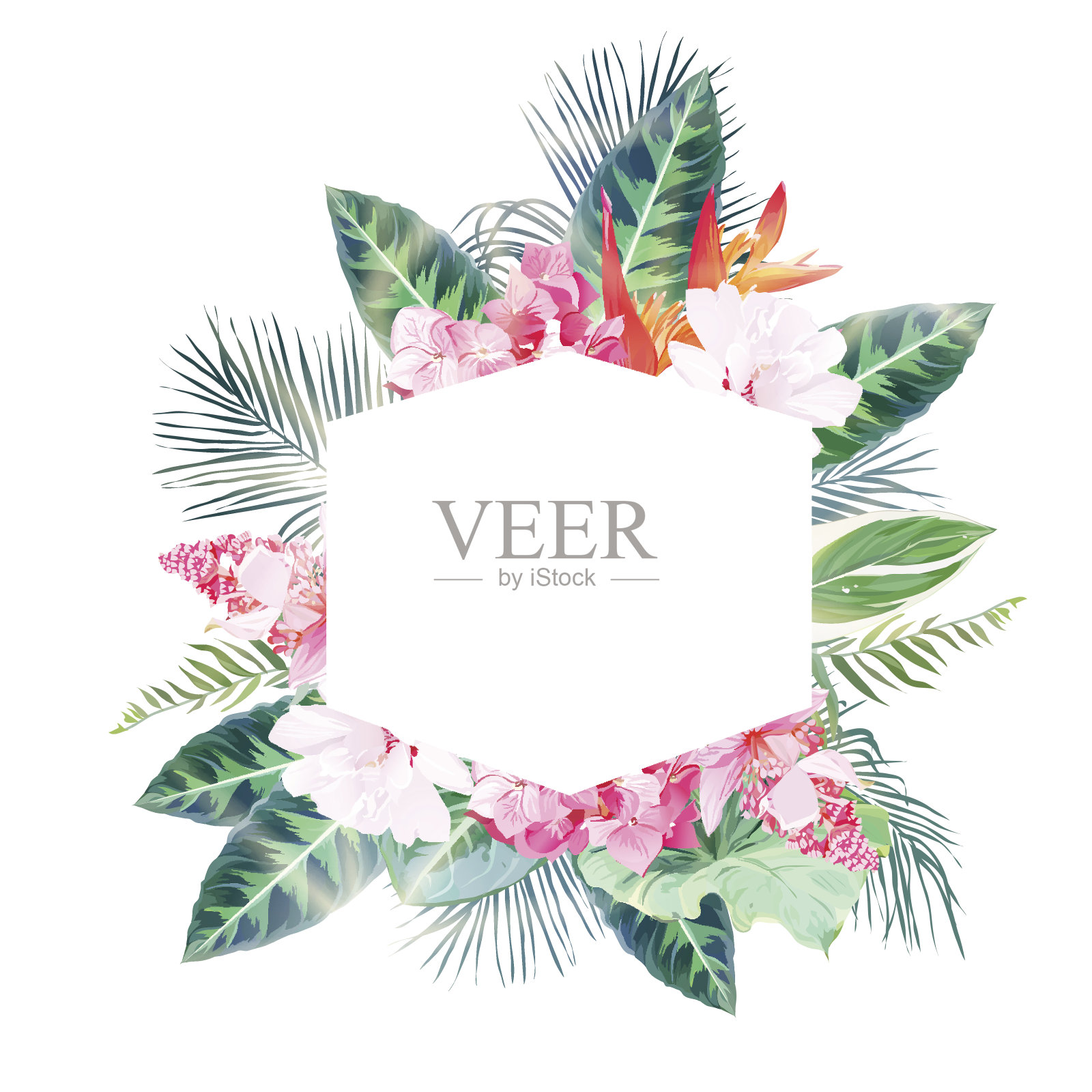 六角形热带标签框架由棕榈树和花排列设计元素图片