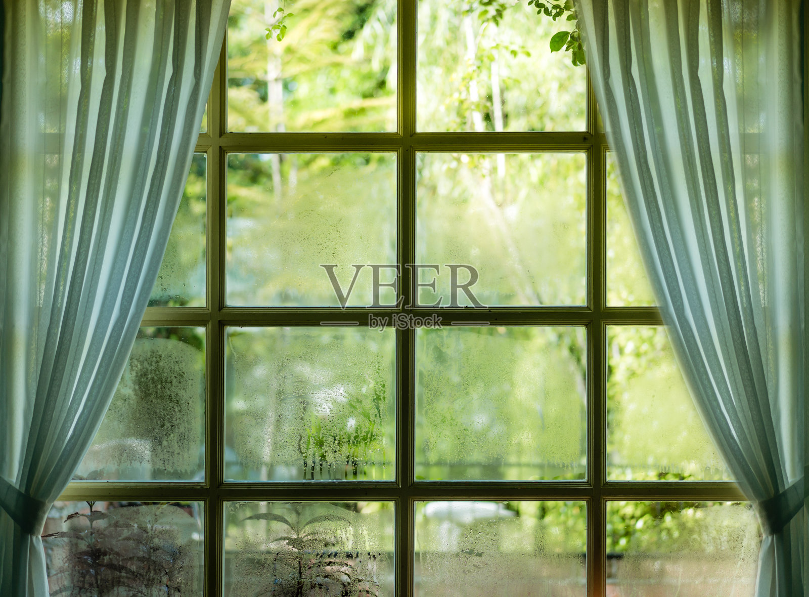 客厅玻璃窗带凝露和窗帘装饰，湿度高。水在玻璃杯上的纹理。自然现象与内在概念。照片摄影图片