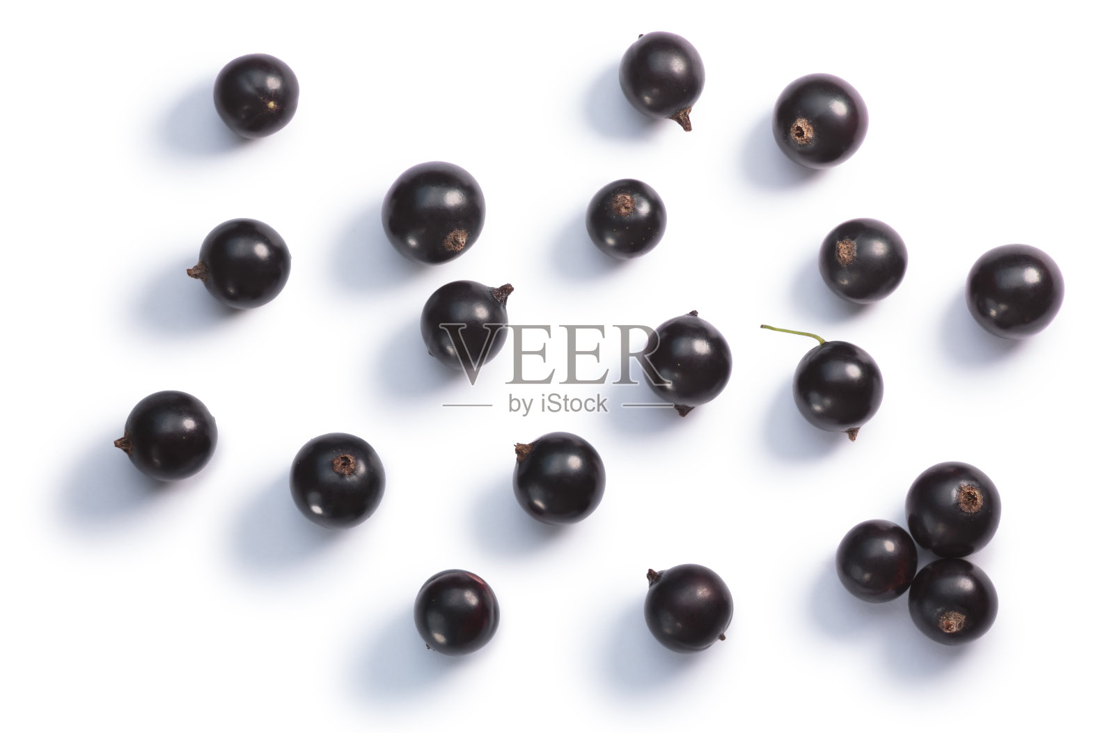 黑加仑，黑莓，顶视图，小路照片摄影图片